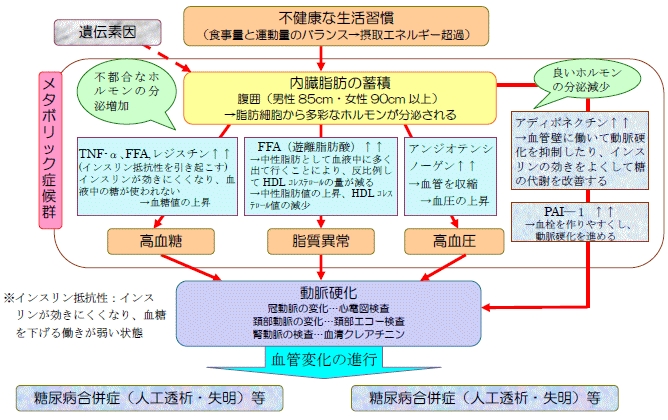 メタボリックシンドローム(内蔵脂肪症候群)とは|データー・動画・資料室|富士いきいき病院|リハビリテーション、整形外科、内科、循環器科、神経 ...