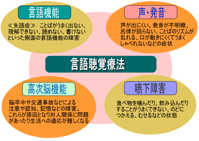 言語聴覚療法を英語でSpeech‐Language‐Hearing Therapy